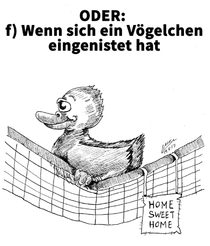 In welchen Fällen muss während eines Mannschaftswettkampfes ein Netz ausgetauscht werden? (©Laven) ZUR REGEL
