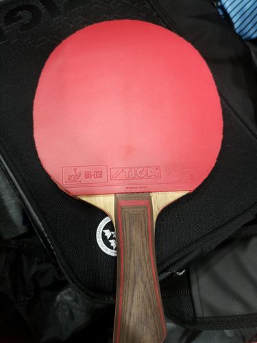Diese bedecken das Holz STIGA Clipper Wood OFF (Legend). (©Gohlke)