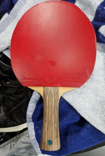 Auch sein Holz ist von Butterfly. Es handelt sich um ein Garaydia, vermutlich das T 5000. (©Gohlke)