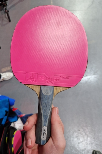 Die Hessin gewann die Silbermedaille im Damen-Doppel mit ihren TIBHAR-Belägen Evolution MX-P50 und dem Quantum X Pro - hier in pink. (©Gohlke)