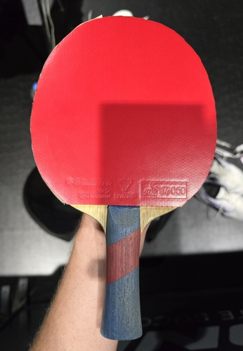Auf der Rückhand spielt der Bergneustädter mit dem V>22 Double Extra. (©Gohlke)
