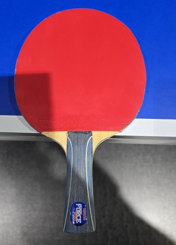 Der Hilpoltsteiner Alexander Flemming erreichte das Viertelfinale der deutschen Meisterschaft mit einem Tibhar Samsonov Force Pro (©Gohlke)