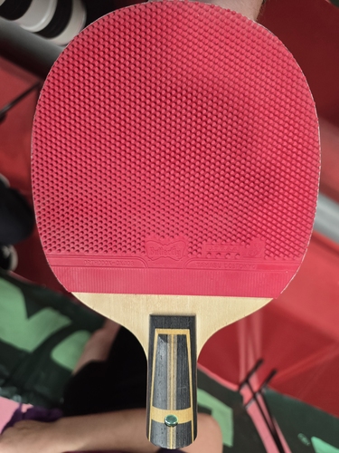 Auf der Rückhand spielt die Penholder-Akteurin mit dem Butterfly Orthodox-DX 103 (©Gohlke)