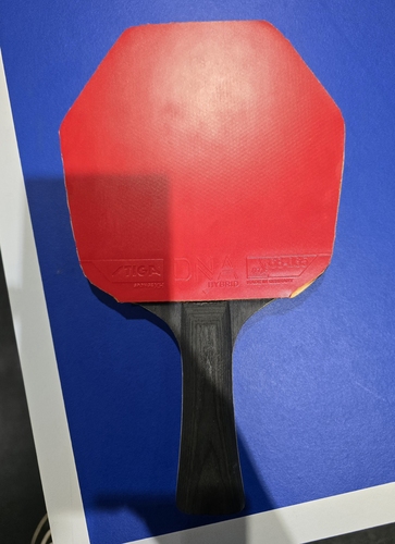 Benno Oehme wurde im Achtelfinale vom späteren deutschen Meister Kay Stumper gestoppt. Sein Holz ist das Stiga Cybershape Carbon (©Gohlke)