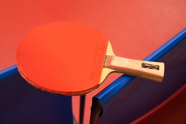 Auf Vor- und Rückhand spielt sie den TIBHAR Evolution MX-P (©Fabig)