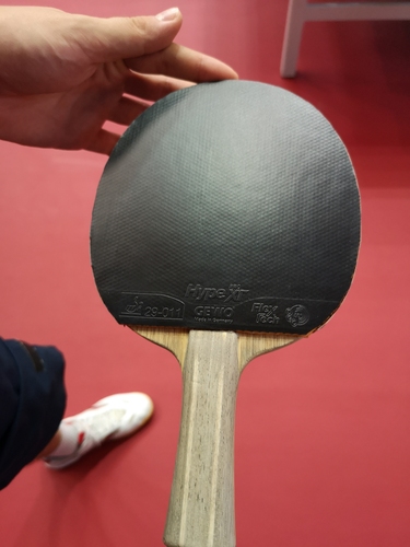 Der Ungar Bence Majoros hat den GEWO Hype XT Pro auf der Vorhand. (©Gohlke)