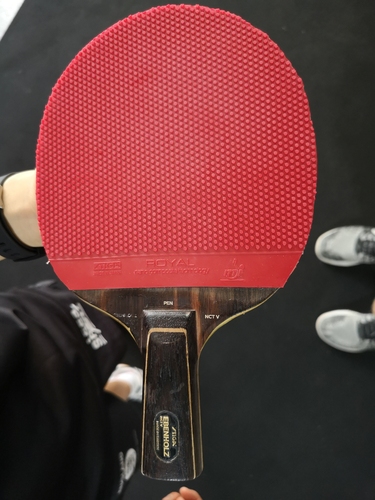 Die englische Penholderspielerin Tin-Tin Ho spielt mit den Noppen auf der Vorhand. Ihr Belag ist der STIGA Royal. (©Gohlke)
