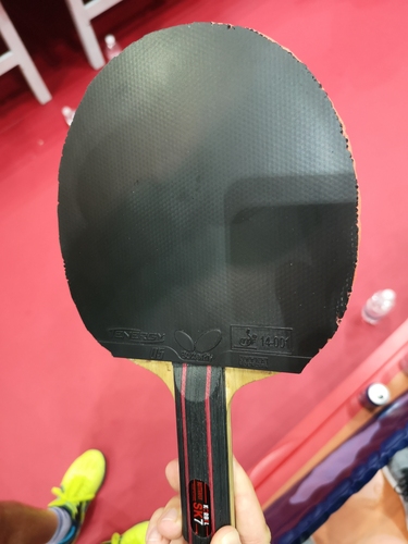 Kristian Karlsson spielt mit dem Butterfly Korbel SK7. (©Gohlke)