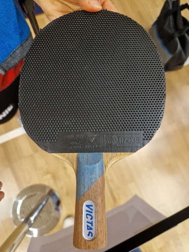 Auch seine Landsfrau Ni Xialian spielt nicht mit 