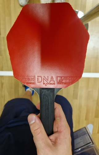 Auf beiden Seiten setzt er auf den STIGA DNA Platinum (©Gohlke)
