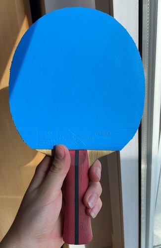 Auf der Rückhand spielt Kaufmann mit blauem Belag, hier klebt der Quantum X (©Gohlke)