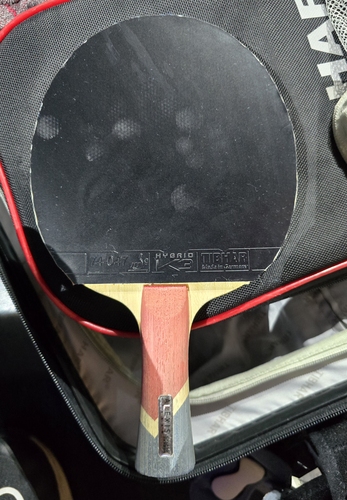 Und klare Sache, dass er mit seinem eigenen Holz spielt, dem Alexis Lebrun Krypto Carbon. (©Gohlke) 