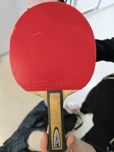 Maciej Kubik spielt mit dem Butterfly Innerforce Layer ZLC. (©Gohlke) 