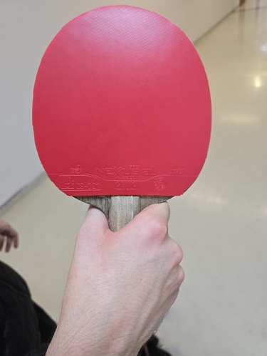 Auf beiden Seiten spielt der Ungar mit einem Nexxus EL Pro Hard von GEWO. (©Gohlke) 