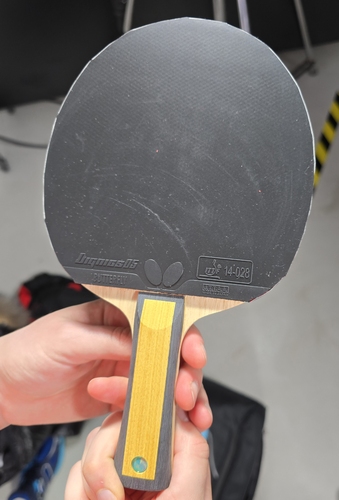 Die alte und neue Europameisterin Sofia Polcanova holte sich die Goldmedaille mit einem Innerforce Layer ZLC von Butterfly. (©Gohlke) 
