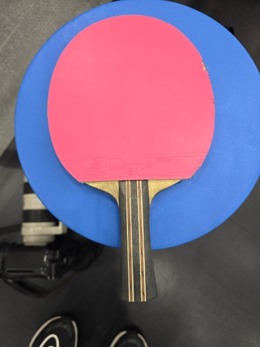 Auf der Rückhand spielt sie mit einem pinken Quantum X Pro. (©Gohlke) 