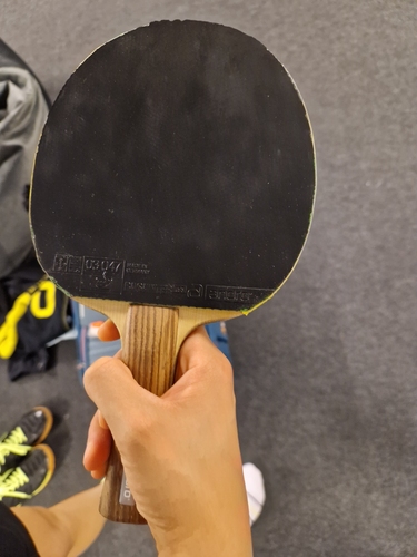 Auf der Vorhand klebt ein Rasanter R53 (©Gohlke)