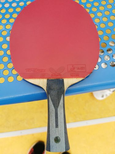 Ihr Holz, das Timo Boll ALC, ist ebenfalls von Butterfly. (©Gohlke)