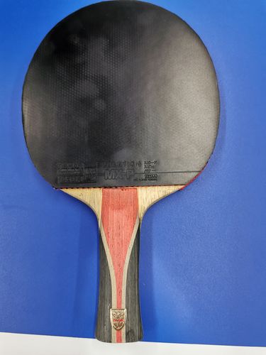 Sein Holz ist das Tibhar CCA 7. (©Gohlke) 