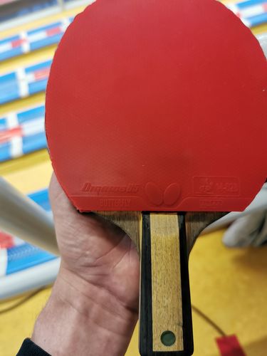 Das markante Holz heißt Innerforce Layer ZLC und ist ebenfalls von Butterfly. (©Gohlke)