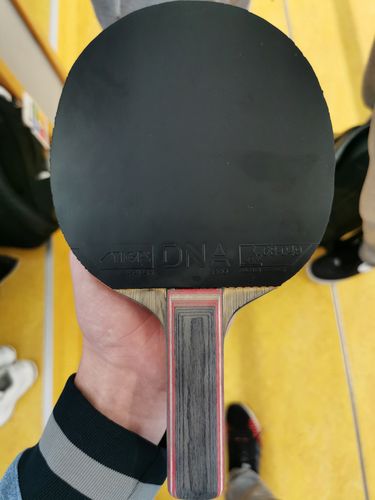 Beide kleben auf dem Carbonado 145 Holz, das auch aus der STIGA-Reihe kommt. (©Gohlke)