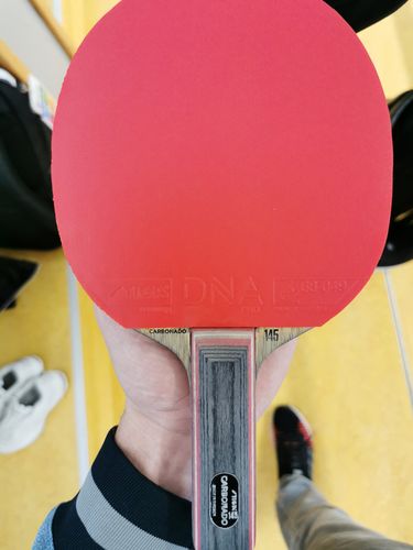 Dominika Wiltschkova spielt auf beiden Seiten jeweils einen STIGA DNA Pro M. (©Gohlke)