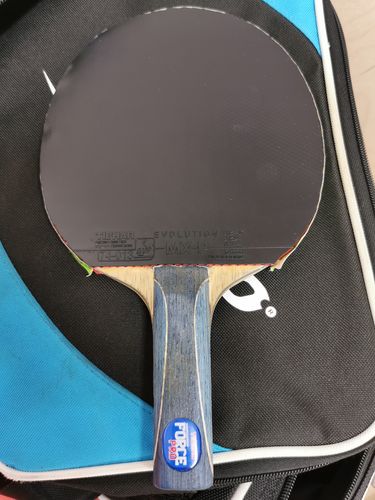 Sein Holz ist das Tibhar Force Pro. (©Gohlke)