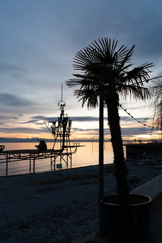 Traumhafter Seeblick unter der Abendsonne: Schönes Wetter und Palmen gibt es auch in Deutschland. Statt auf Fuerteventura haben die Series Finals in diesem Jahr erstmals am Bodensee stattgefunden. (©Fabig)