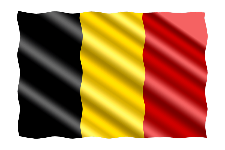 Gesucht ist der Klub Royal Villette Charleroi aus Belgien. (©Pixabay)