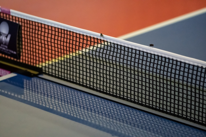 Als Plagegeister des Tages konnten getrost die Fliegen in der Halle bezeichnet werden, die nicht nur auf dem Netz landeten, sondern auch die Spieler nervten. (©Gohlke)