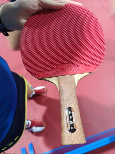 Passend zu ihrem Abwehrspiel geht Linda Bergstrom mit ihrer langen Rückhandnoppe TSP Curl P-1 R tief unter den Ball. (©Gohlke)
