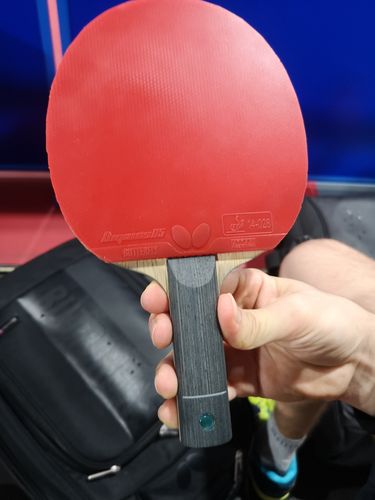 Auf der Rückhandseite des Holzes Freitas ALC klebt der Dignics 05. (©Gohlke)