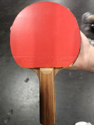 Den gleichen Belag spielt der Neu-Grenzauer auch auf der Rückhand. (©Gohlke)
