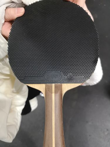 Die Noppen gehörten bei den German Open meistens den auf Abwehr spezialisierten Damen, wie hier bei Suh Hyowon wieder das Modell TSP Curl P-1 R auf der Rückhandseite. (©Gohlke)