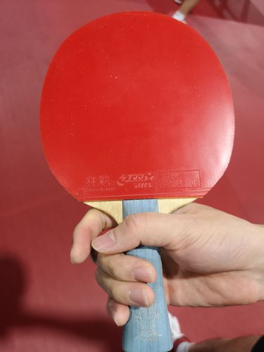 Vorhand wie Rückhand. Für den Chinesen zählt nur der Hurricane III. (©Gohlke)