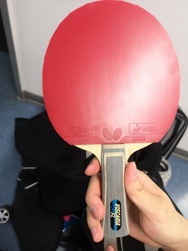 Auf der Vorhandseite spielt er den Tenergy 05 Hard auf dem Holz Viscaria FL, ebenfalls von Butterfly. (©Gohlke)