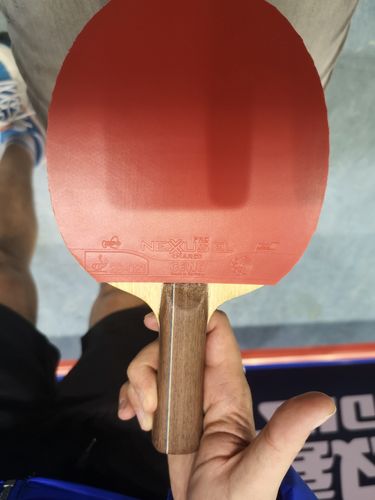 Komplettiert wird sein Schlagwerk durch zwei GEWO Nexxus EL Pro Hard. Die gleichen Beläge nutzt auch Quadri Aruna. (©Gohlke)