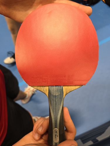 Auf der Rückhand spielt der Kolbermoorer mit dem Evolution MX-P. (©Gohlke)