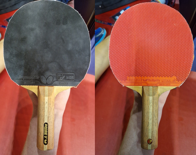 Auch dank ihrer gefährlichen, offensiven Kurznoppe auf der Rückhand (Challenger Attack von Butterfly), ihrem Dignics 09c in schwarz und dem Butterfly-Holz Diode V. (©Gohlke)