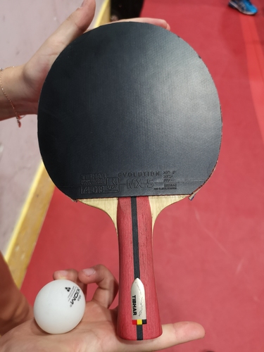 Die Silbermedaillengewinnerin im Schüler-Mixed spielt mit dem TIBHAR Cedric Nuytinck-Holz. (©Gohlke)