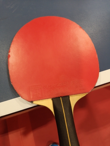 Ob schwarz oder rot: Klee spielt jeweils mit dem Rhyzer Pro 50. (©Gohlke)