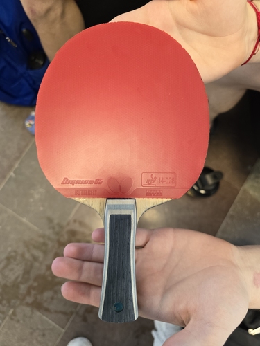 Auf der Rückhandseite spielt Chirita, der im Einzel im Achtelfinale und im Mixed in der Runde der letzten 32 ausschied, mit dem Dignics 05. (©Gohlke)