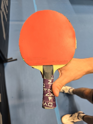 Auch auf der Rückhandseite agiert der 19-Jährige mit dem andro Rasanter R53. Mit dieser Kombination schaffte es Vallino im Einzel unter die letzten 32, während er im Doppel und Mixed jeweils in der Runde der letzten 64 ausschied. (©Gohlke)