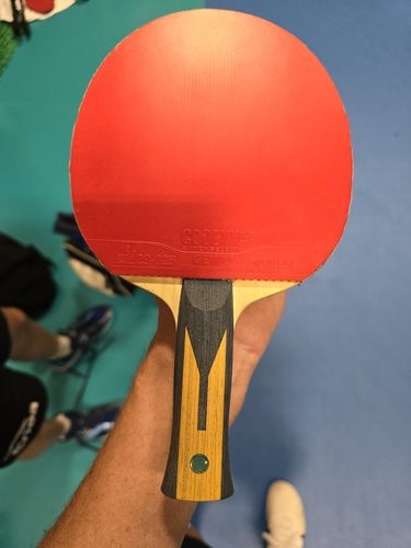 Auch auf der Rückhand spielt der 18-Jährige den GEWO Codexx SuperSelect Pro. Damit erreichte der Jugendnationalspieler die Runde der letzten 32 im Einzel und Doppel sowie das Viertelfinale im Mixed. Tischtennis spielt übrigens die ganze Familie Kulczycki auf hohem Niveau. Seine kleine Schwester Vanessa war ebenfalls Teilnehmerin an der Jugend-EM und sein Bruder Samuel ist als langjähriger TTBL-Spieler bekannt. Alans Vater spielt mit ihm zusammen in der 1. Mannschaft des TTC GW Kirn. (©Gohlke)