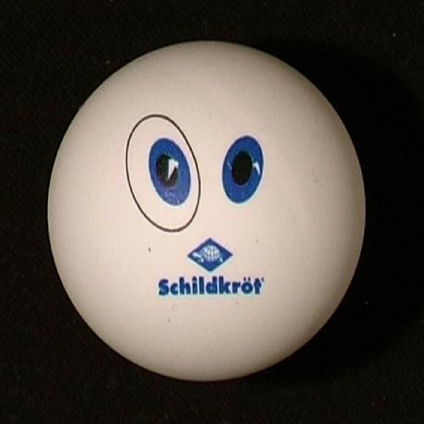 (© tischtennisbaelle.org)