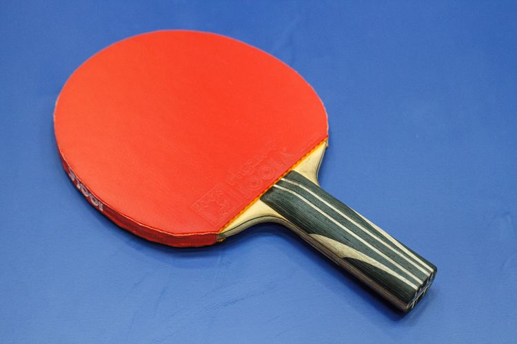 Petrissa Solja spielt das JOOLA Roßkopf Force (©Fabig)
