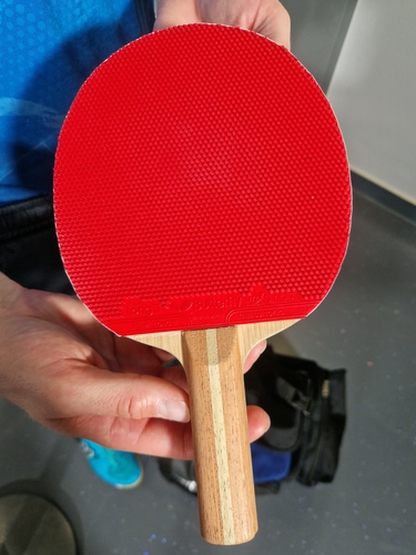 Auf der Rückhand setzt der Allrounder auf den Feint Long III (©Gohlke)