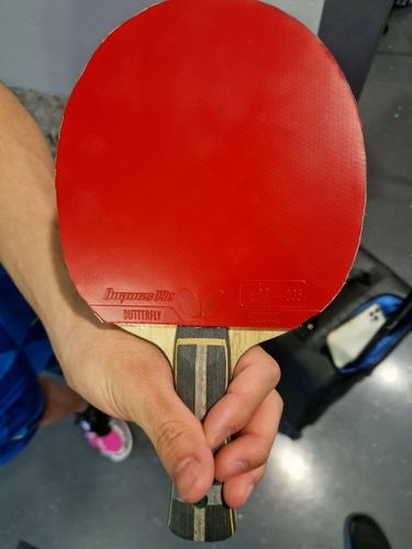 Sein Holz ist ein Butterfly Zhang Jike ALC (©Gohlke)