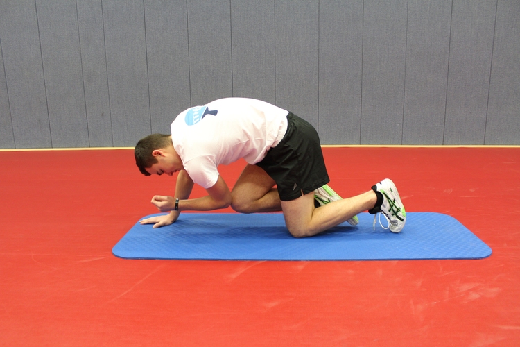 Übung 3 (Vierfüßlerstand): Danach berühren sich Ellenbogen und Knie unter dem Körper. Der Rücken sowie das Becken bleiben stabil, der Kopf bleibt in der Verlängerung der Wirbelsäule. (©Schäbitz)