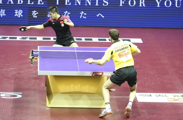 …während Timo Boll gegen Fan Zhendong in die Box stieg. (©Stosik)